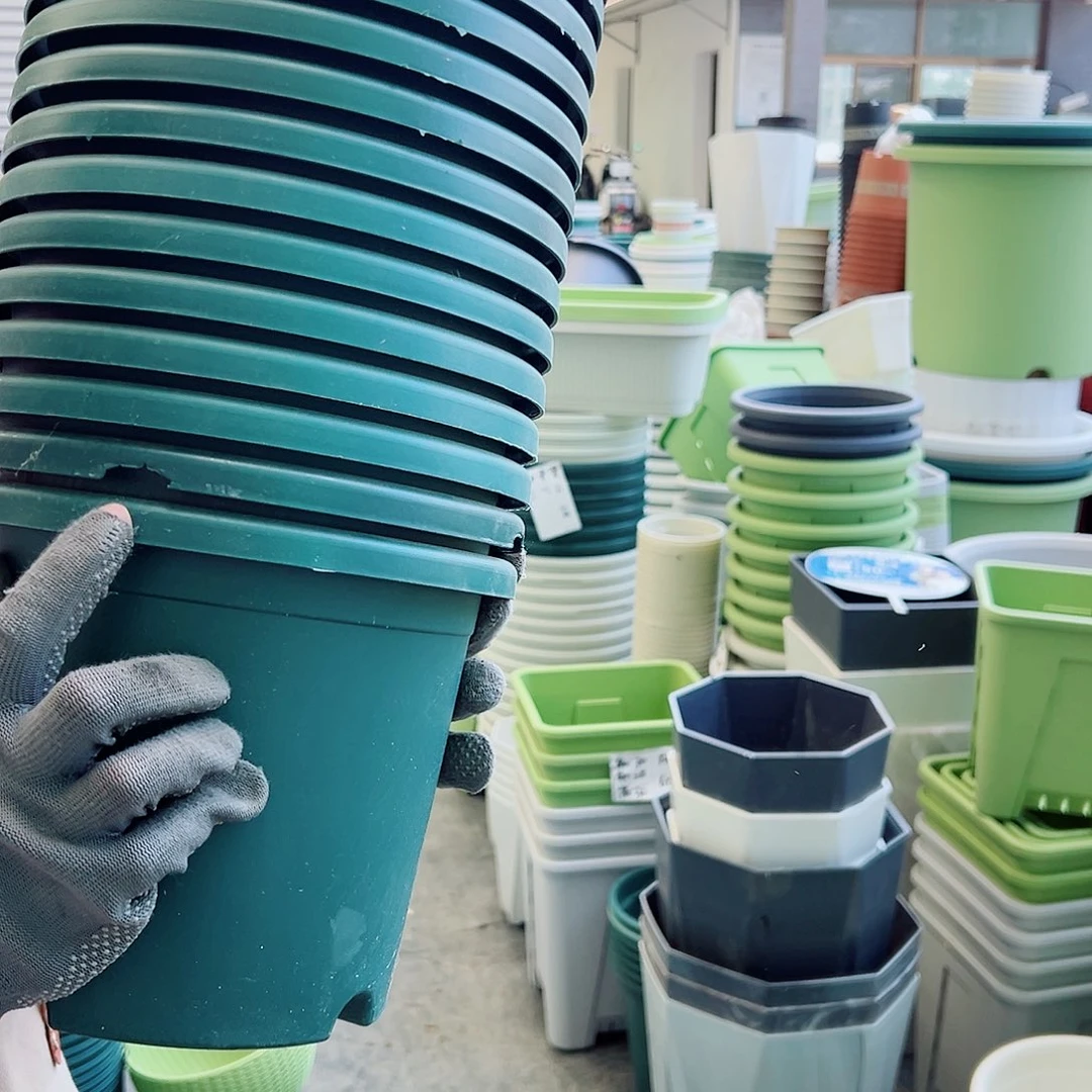 瑕疵四季盆3#混色12无托