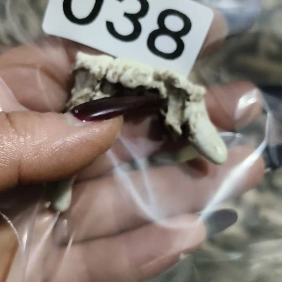 禁***区鹿角鹿角鹿角鹿角鹿角鹿角