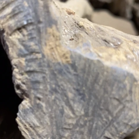 阿***0贡木把件定制1236548966