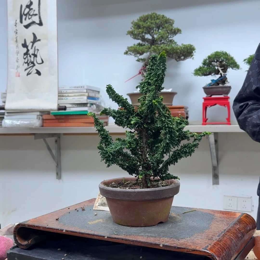 用****1348顺丰到付不包邮