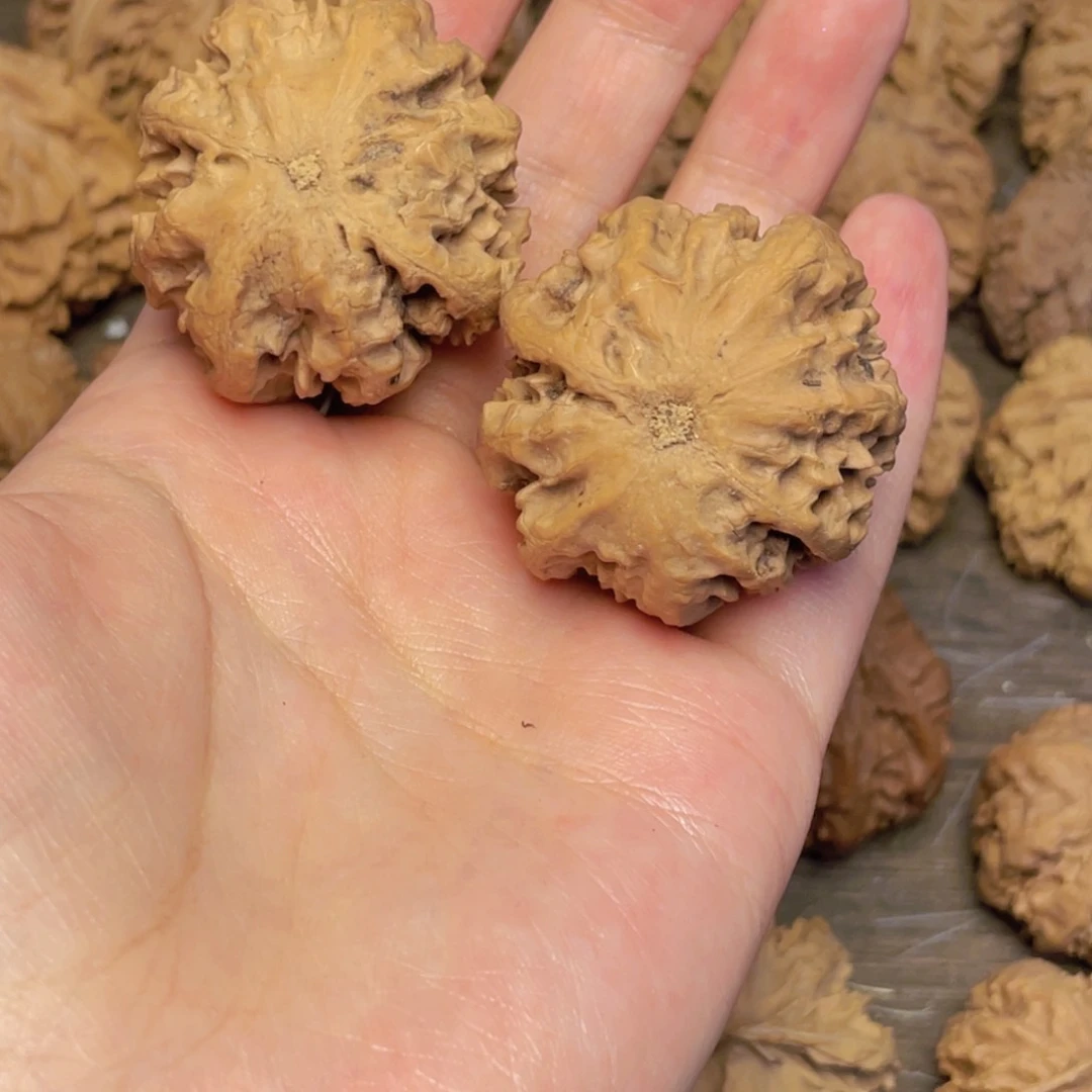 文玩核桃吊坠5 秦岭灯笼野生小众