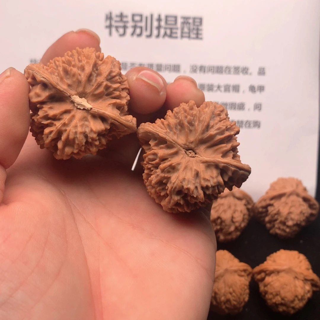 y***i核桃满天星狮子头