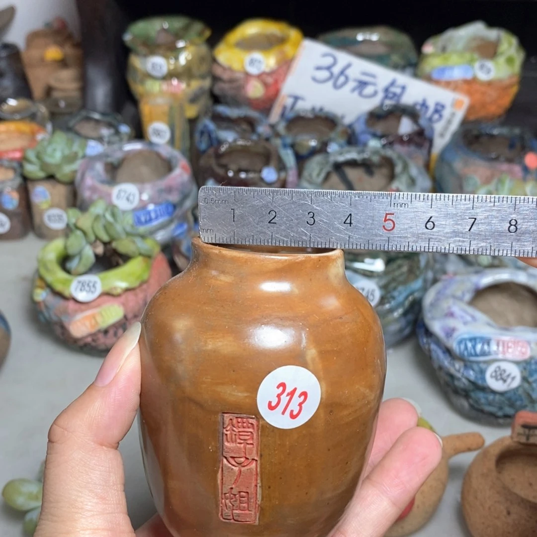 拍5送一个小礼物