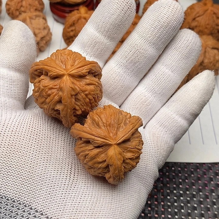 老***鼻手串/手链核桃拼接白狮子11