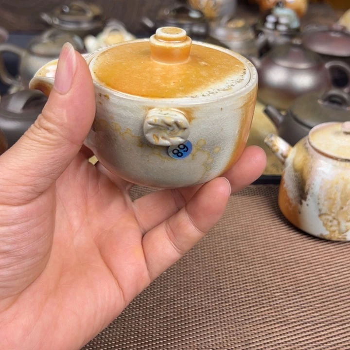 乘风茶器——宝瓶89