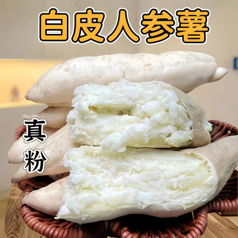 【胖大发】新鲜现挖牛奶人参薯白皮白心板栗红薯粉面香甜辅食粗粮