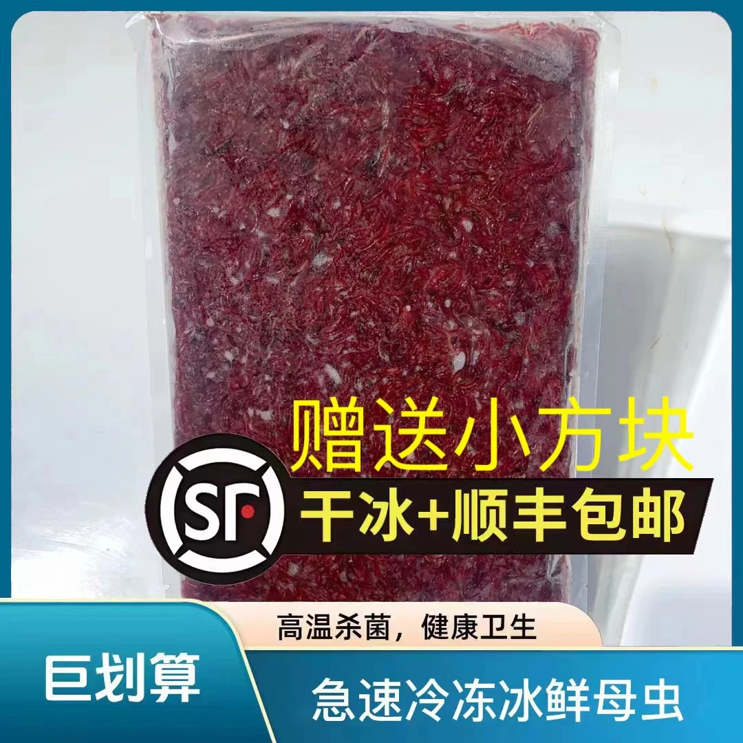 【小号母虫】厂家直发冰鲜大号小号母虫冻板鱼饲料活饵速冻