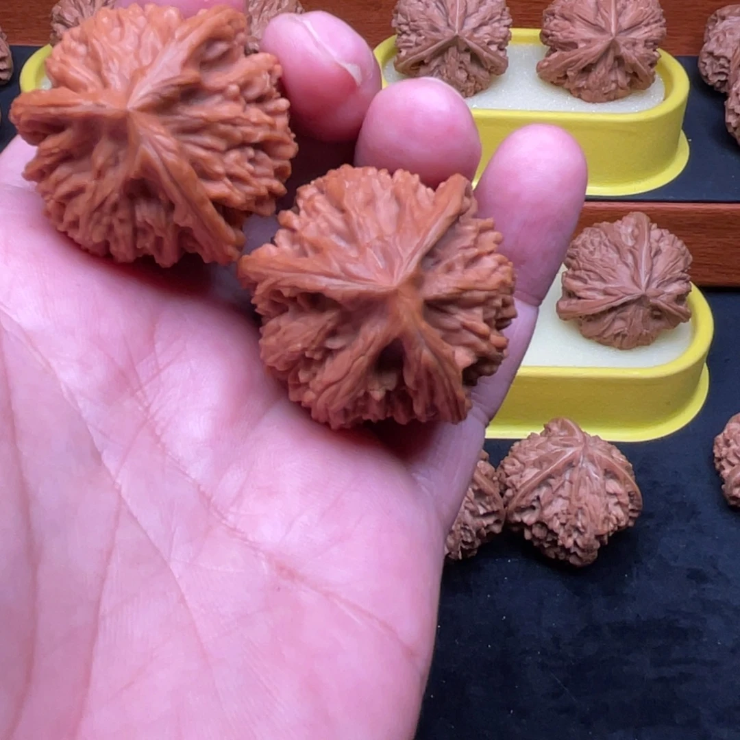 大***鼓核桃手串/手链玉龙粗筋