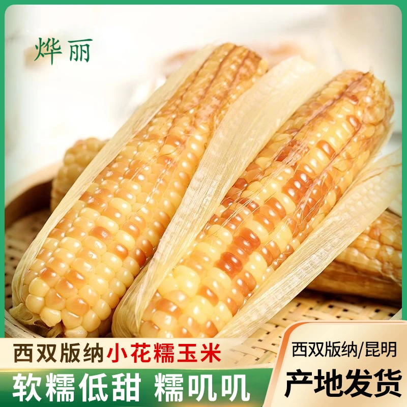 西双版纳香糯小花糯玉米新鲜老品种真空包装即食休闲营养早餐