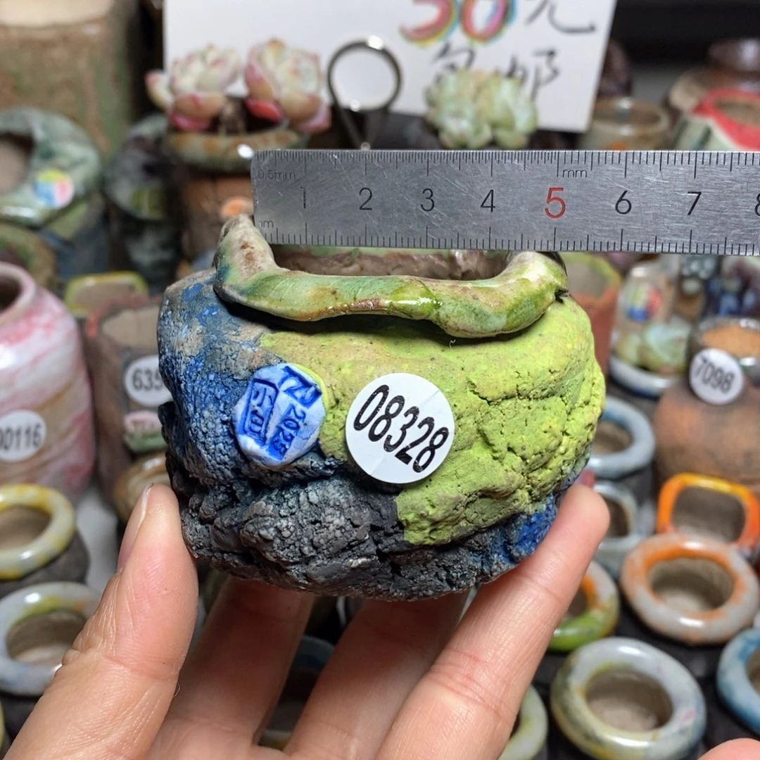 花盆拍3送一个小礼物