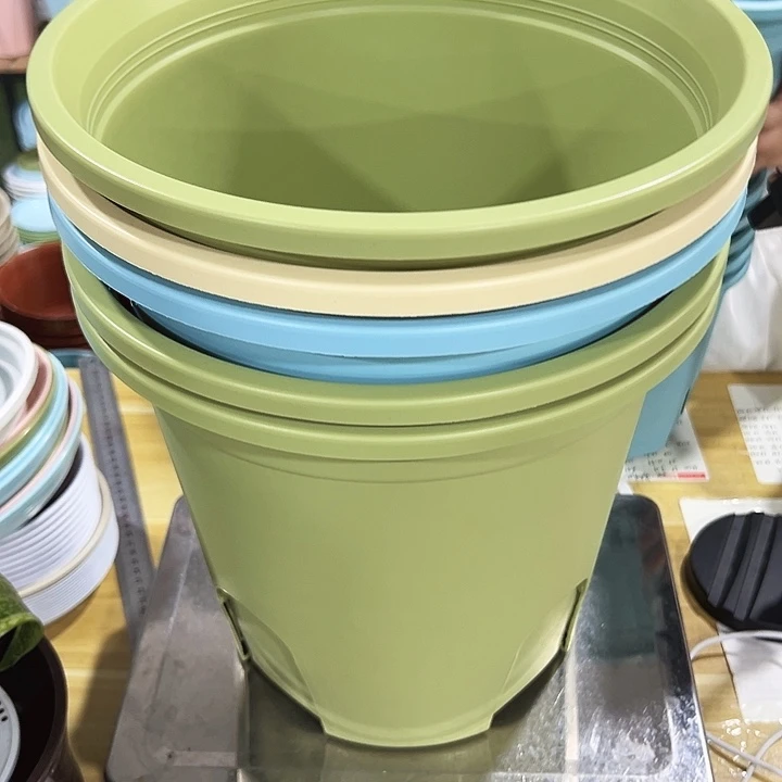 特价圆控口29.5高27.5混色无托5只