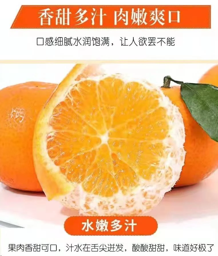 正宗武鸣沃柑应季水果包邮花皮