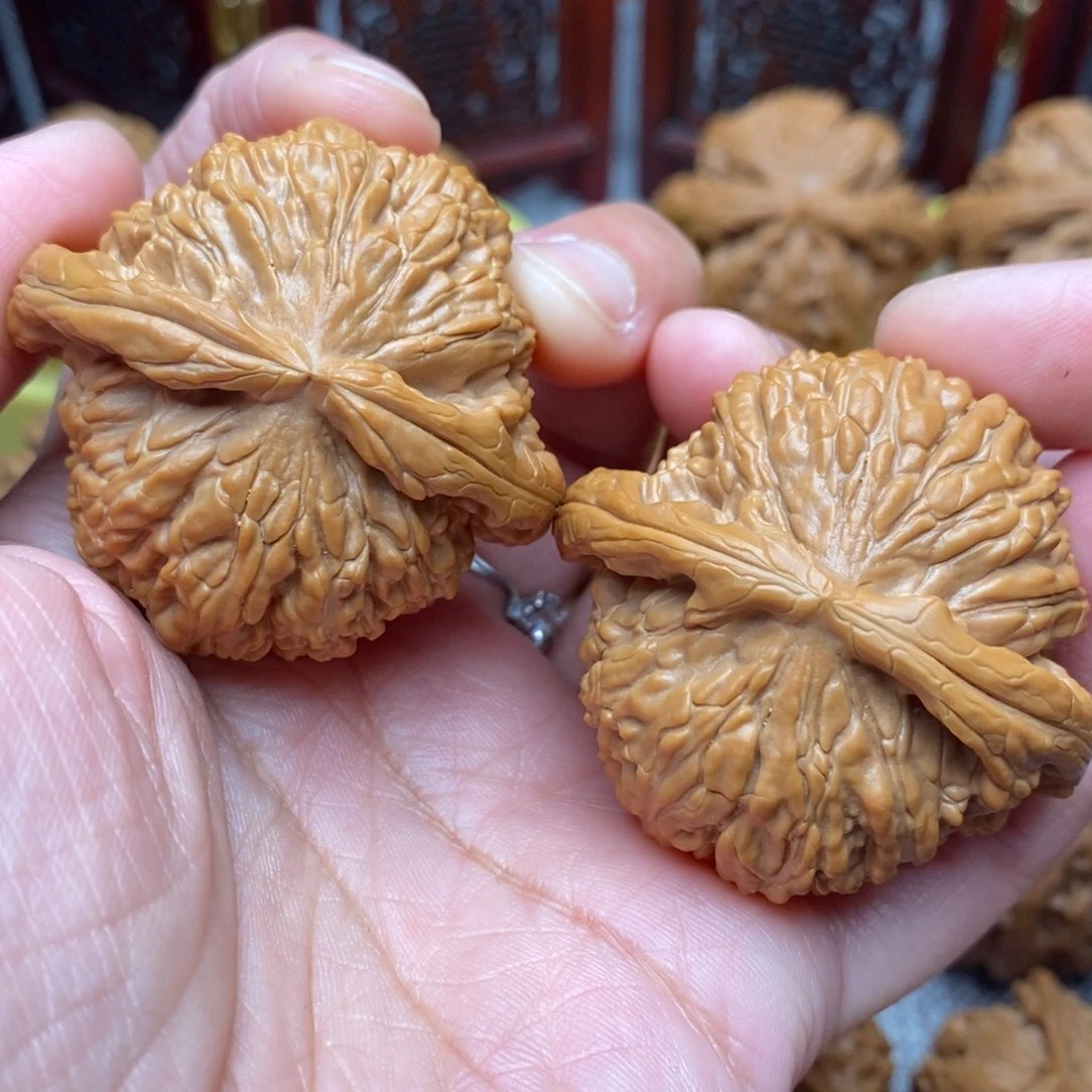 文玩核桃把件毕业精品白狮子45尺