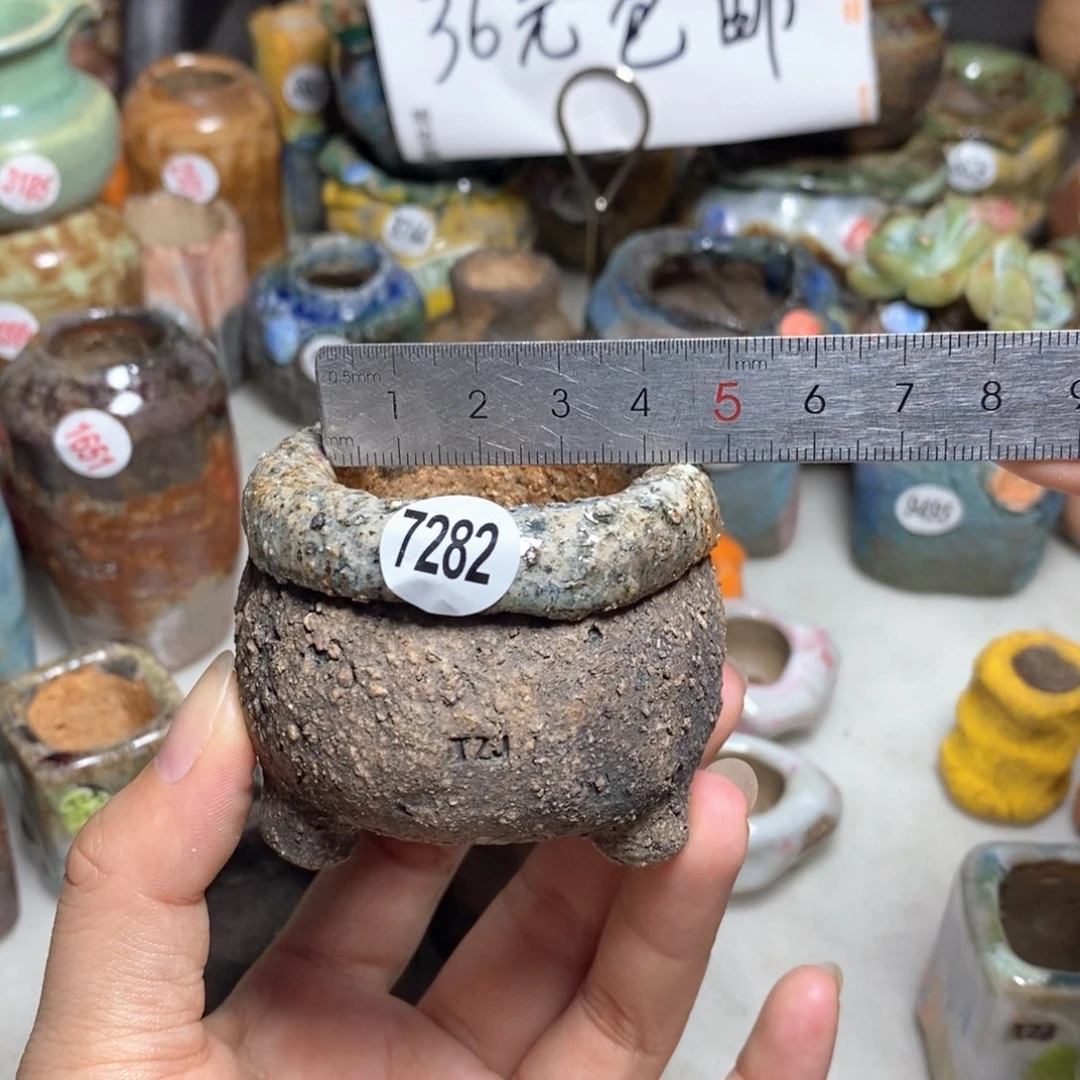 拍3送一个小礼物