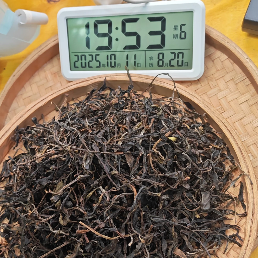 2025年春【白莺山·黑条子·生茶·古树】普洱晒青散茶-10月11日【05】