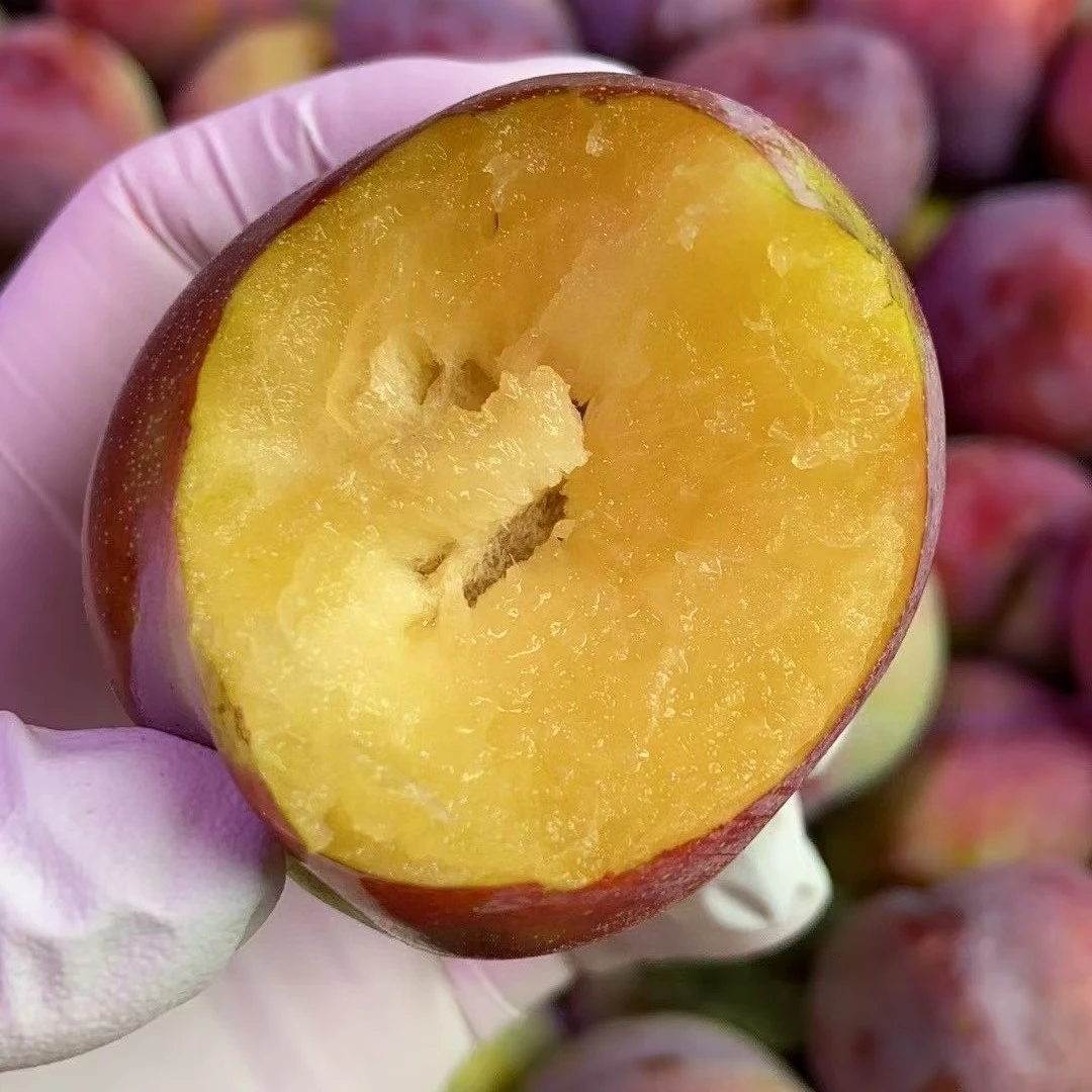 【新疆沙地西梅李子3斤】爆甜多汁顺丰同城送货上门新疆维吾尔自治区