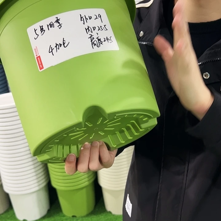 特价5号四季口29高24.5绿色无托5只