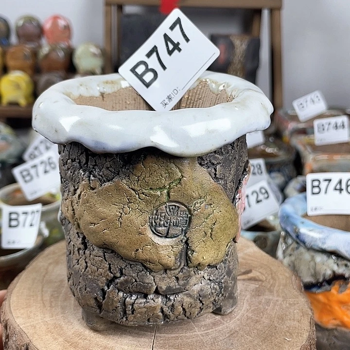 紫砂花盆孤品 不规则油画山石小老桩 内口6.5