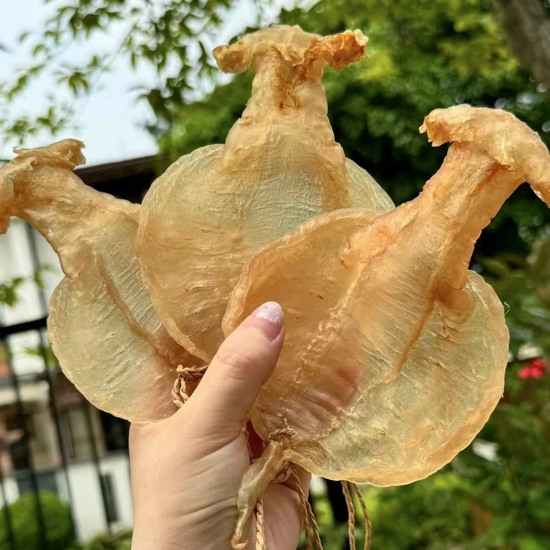 H117396-5 裕初 石肚赤嘴公242-515g  鱼胶 花胶 干货 广东汕头