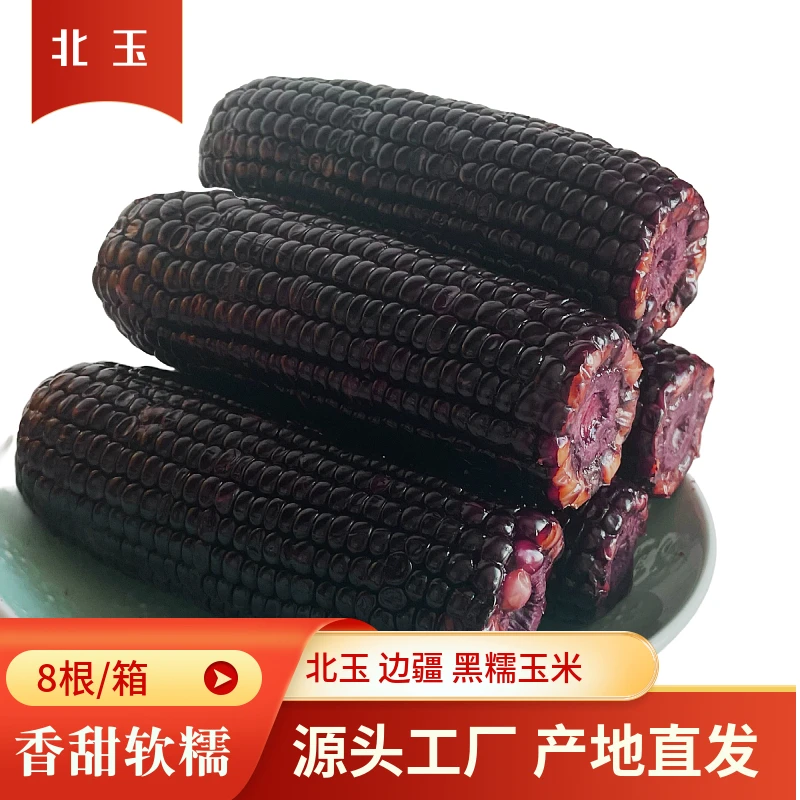 【24年头茬玉米加工】东北香糯黑糯玉米均重250g*8到手8根