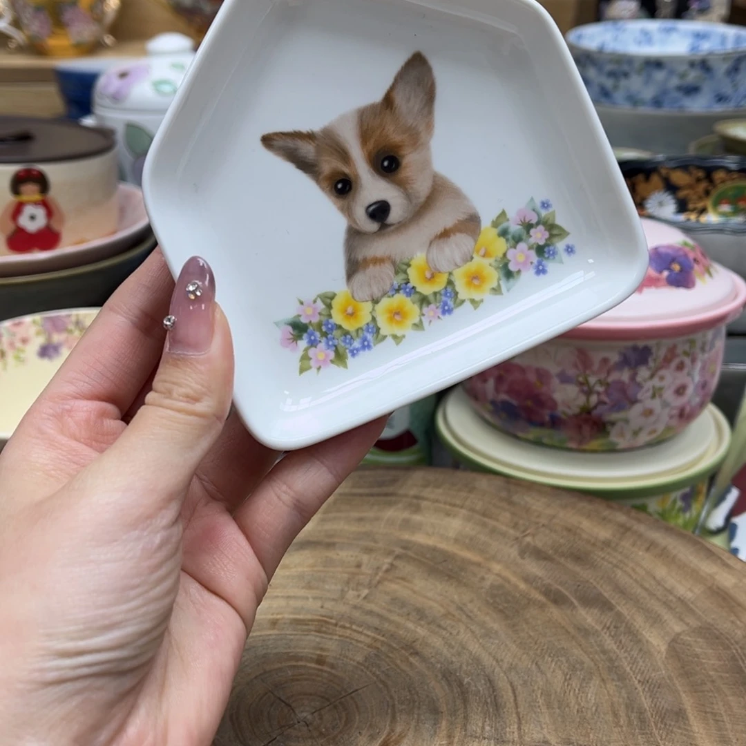 我的姐姐们好可爱