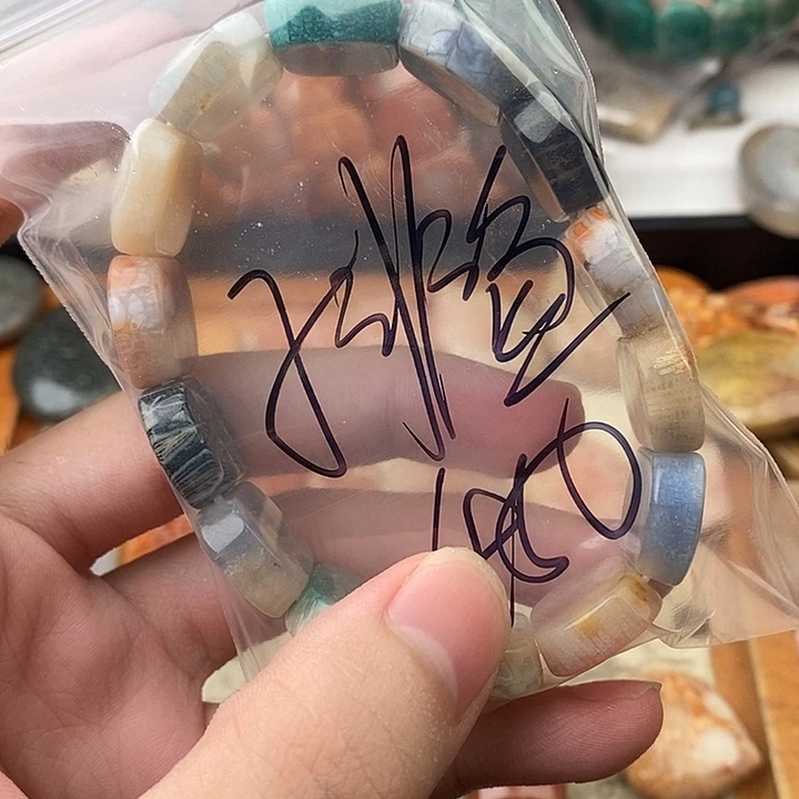 子***鱼硅化玉（树化玉）未镶嵌颈饰