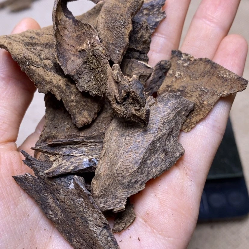 【闪购商品】香榧木海南沉水10克