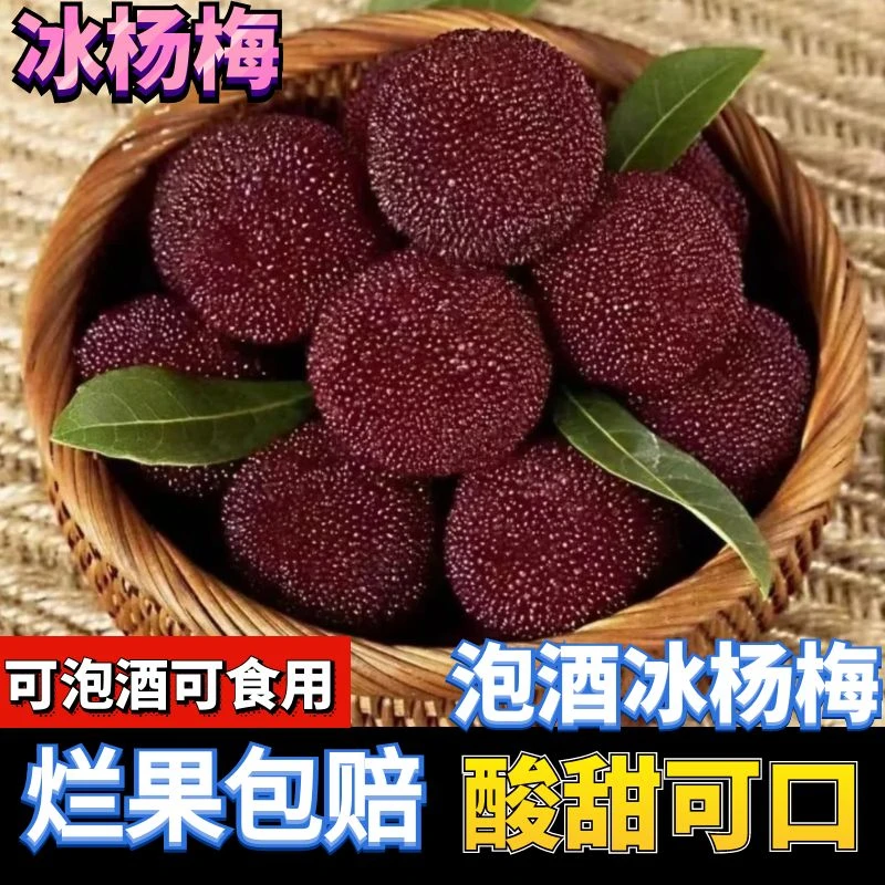 新鲜日期冰杨梅冷冻冰爽杨梅冰冻非仙居冰冻杨梅泡酒整箱冷链包邮