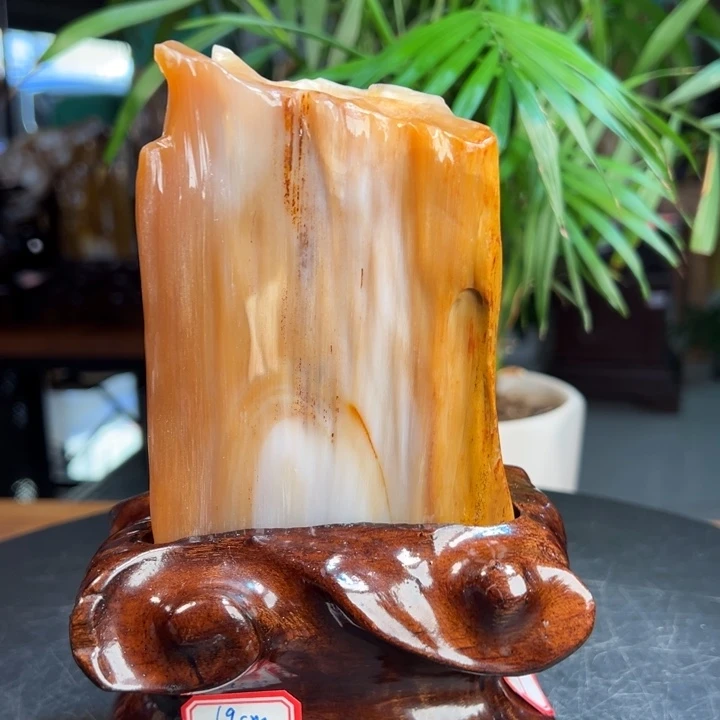 硅化玉（树化玉）未镶嵌珠宝奇石