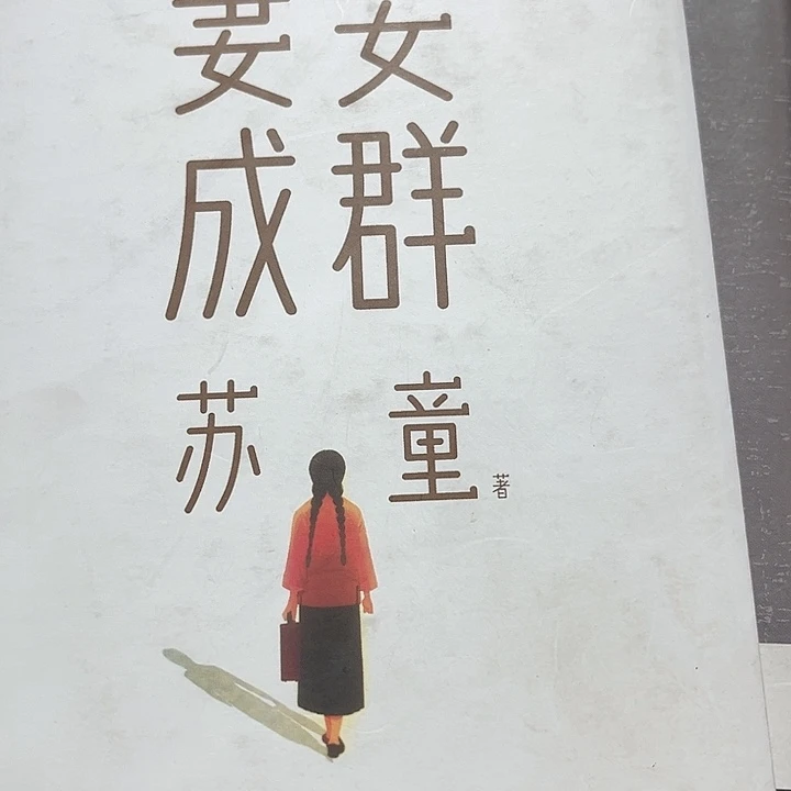 妻妾成群全新精装