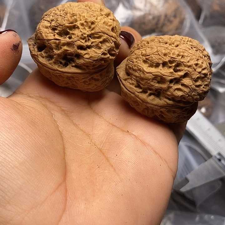 文玩核桃把件云南文玩核桃28号37mm