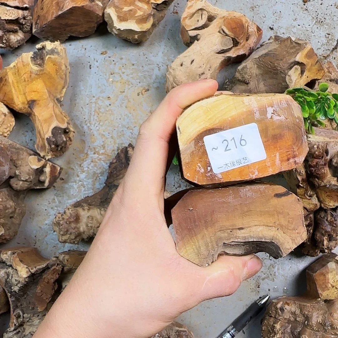 H***e000000000000000216