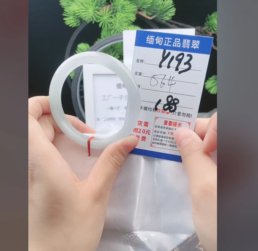Y193缅甸翡翠处理手镯【一物一证】实物以直播间为准带证书发货