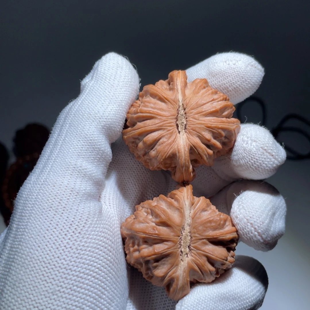 吊坠文玩核桃5号40白狮子