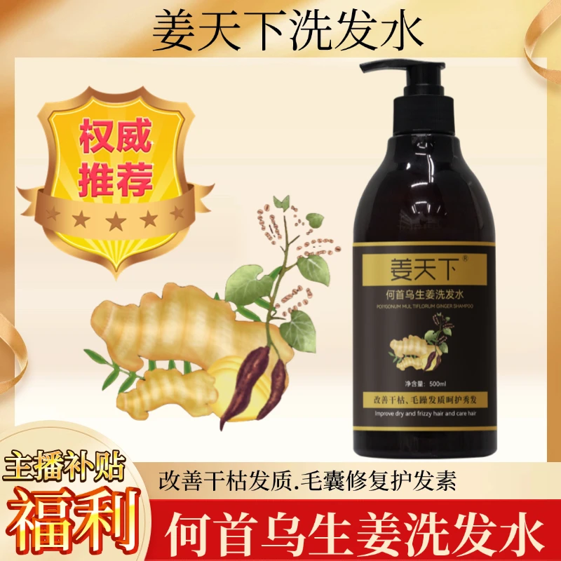 姜天下【到手2瓶】生姜何首乌洗发水500ml/瓶清洁wmp何首乌洗发水