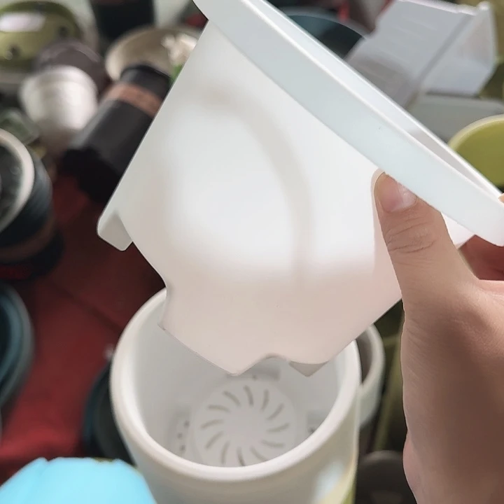 球根17口径10个无托白色