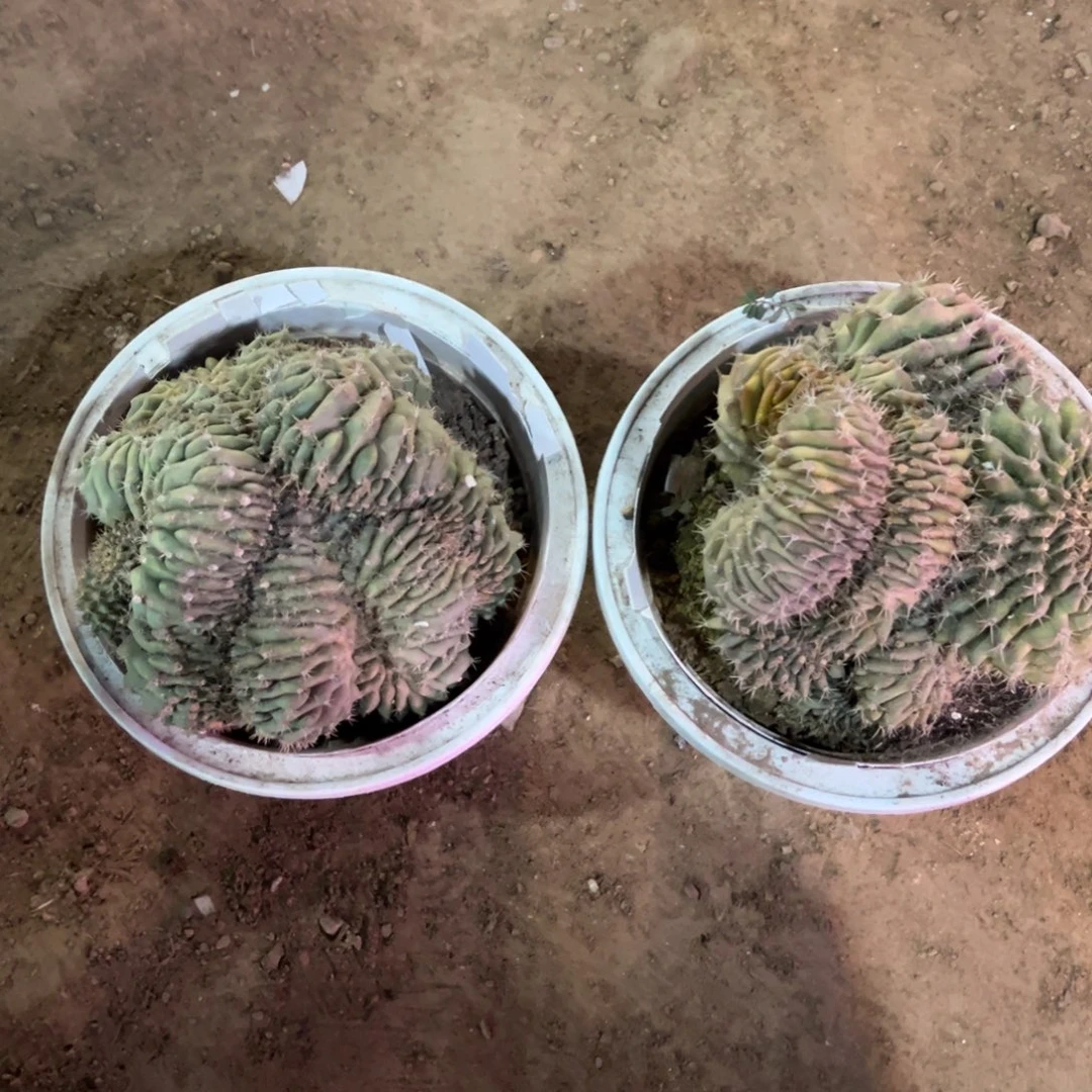 l***风哈哈哈哈哈哈哈哈哈哈哈哈哈