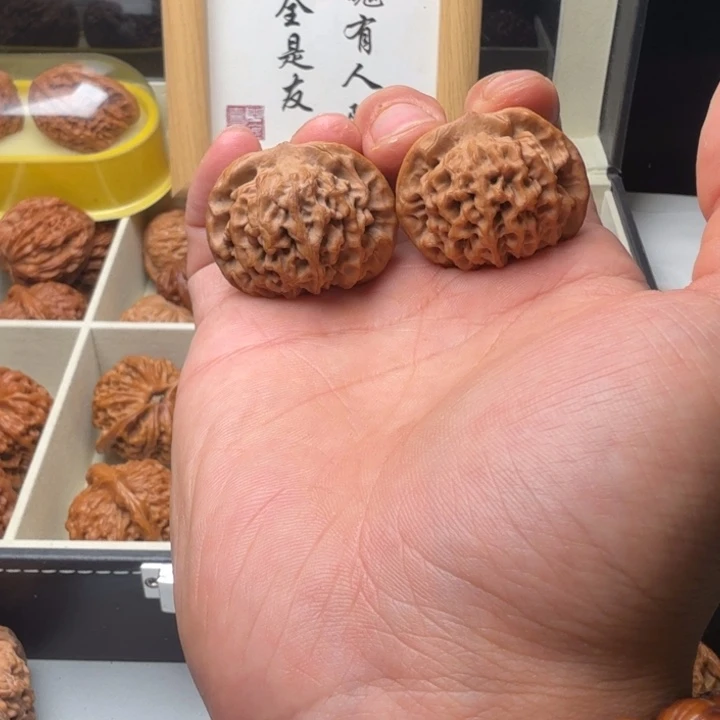 35尺正版宝鸡秦闷