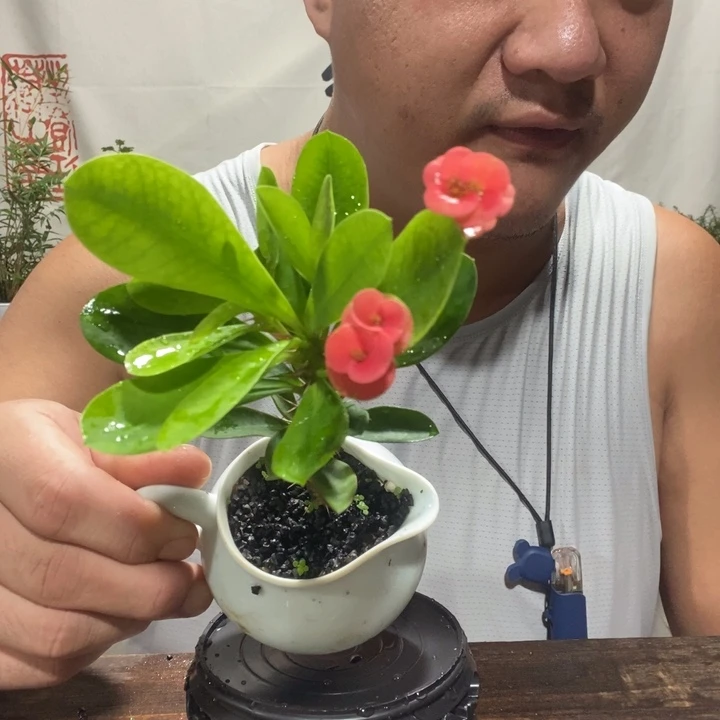 退款拉黑一物一拍179