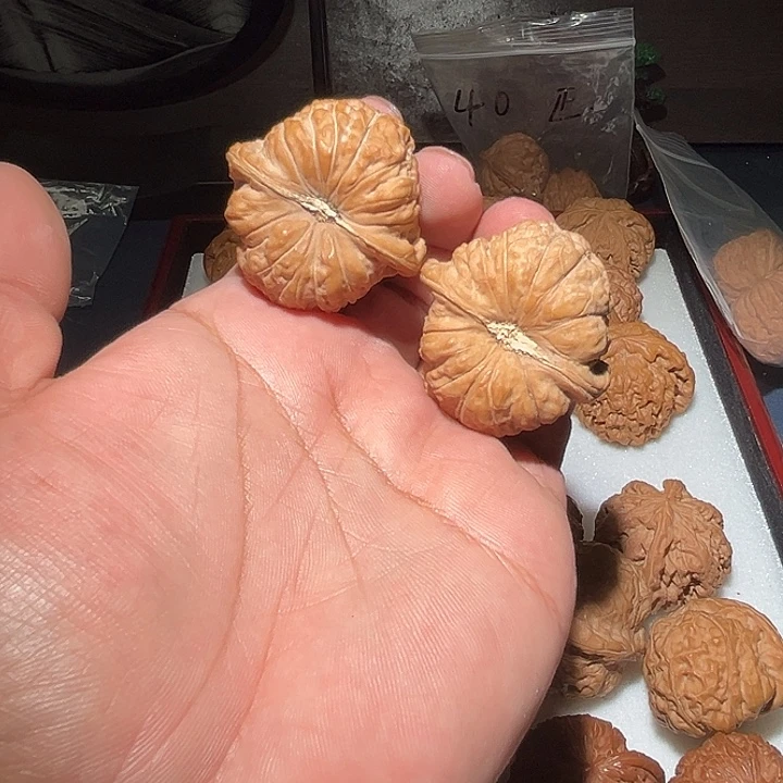 木44精品南瓜敦。