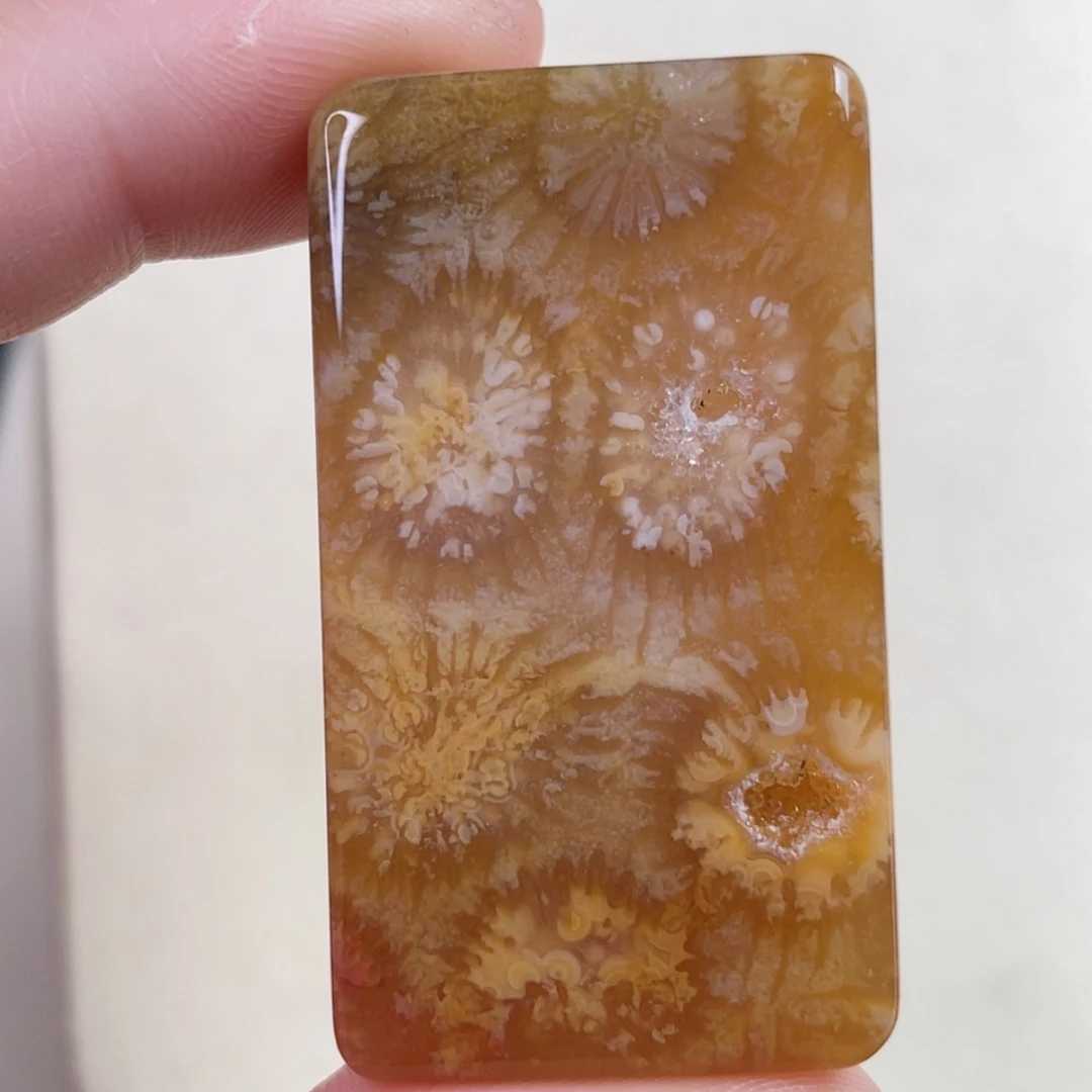 【闪购商品】未镶嵌吊坠(赠链)硅化玉