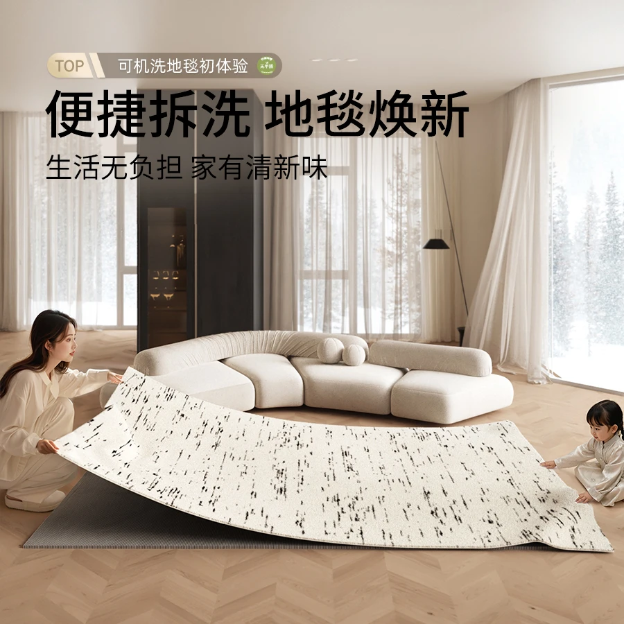 AOVOC-可水洗地毯-客厅高级简约轻奢地毯- 中古风加厚