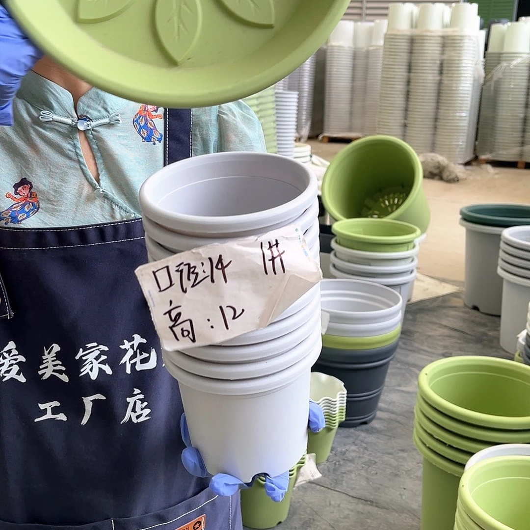 四季盆1#灰白色10个含托