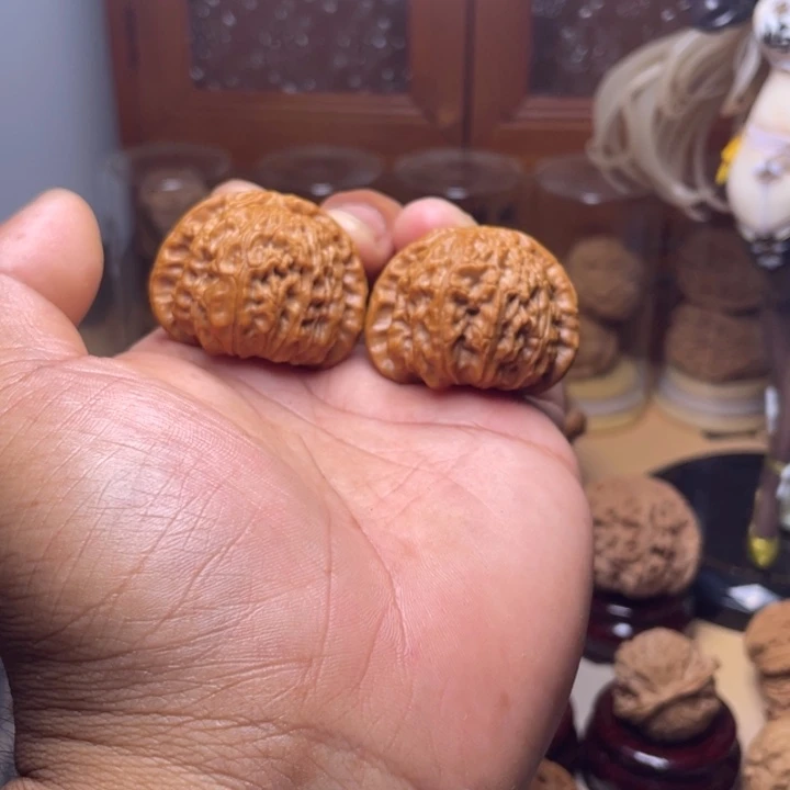 自***神40闷白狮子头未打底