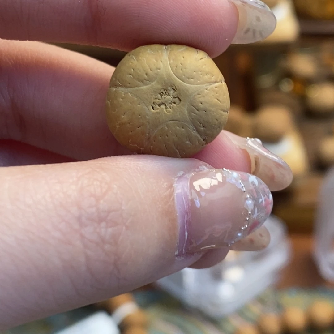 凤眼菩提吊坠五星