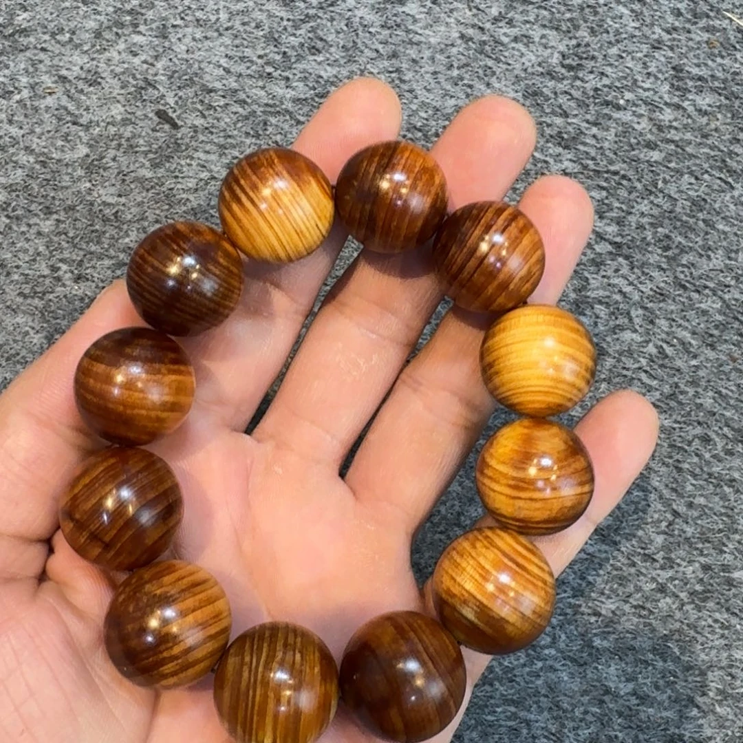 柏木（崖柏）崖柏111111111