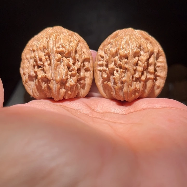 木41全家福四座楼。