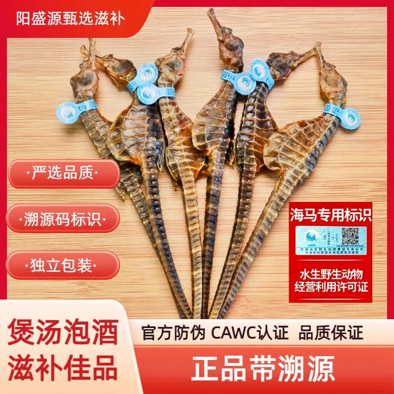 【特大马3-4克/条】正品海马带溯源码蓝标公母搭配海马泡酒专用男女