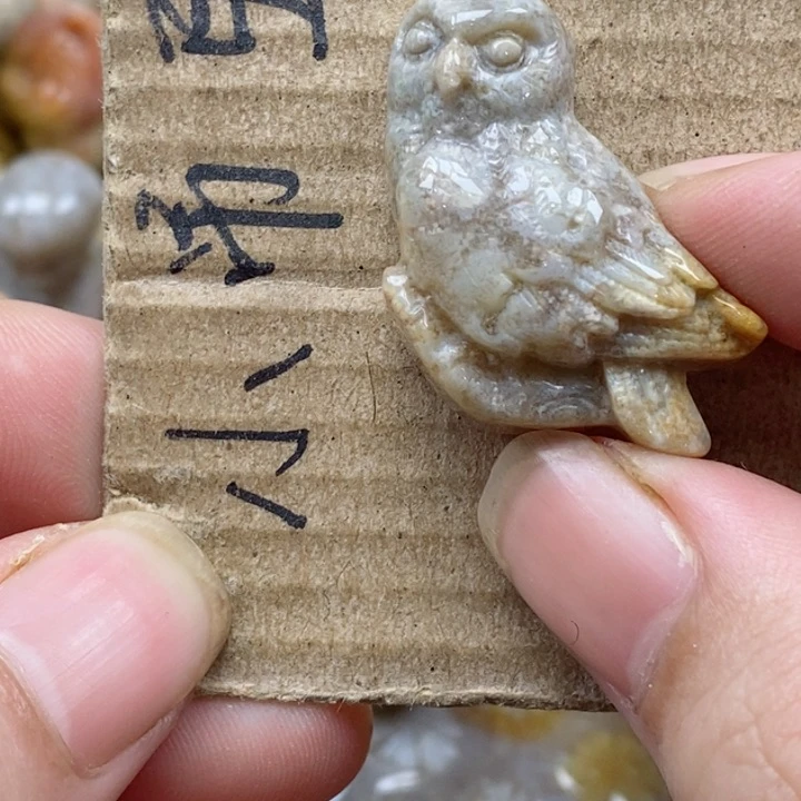 颈饰未镶嵌硅化珊瑚（珊瑚玉）用****1