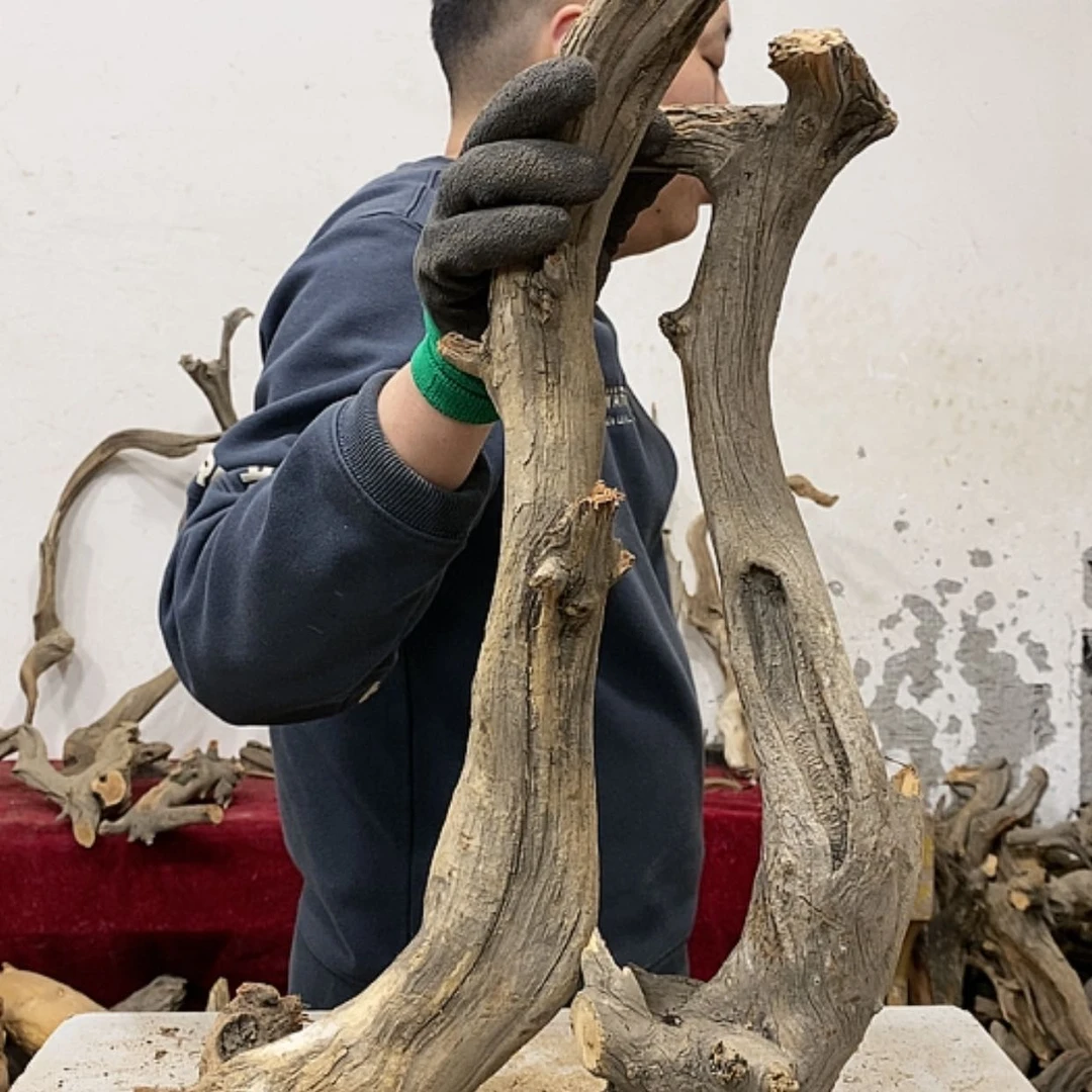 【闪购商品】柏木煌**刻我们都是好孩子